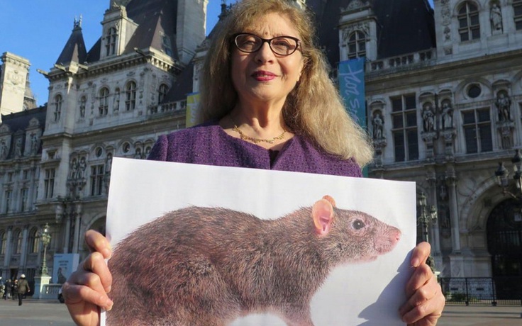 20.000 chữ ký để bảo vệ chuột ở Paris