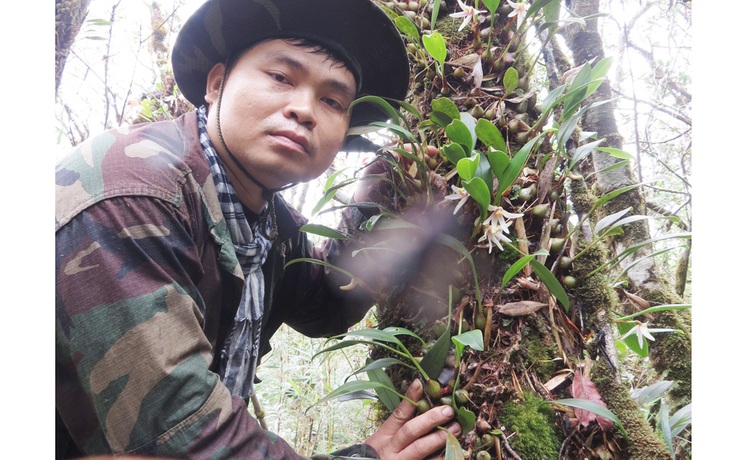 'Gia sản' lan rừng của chàng trai phố núi