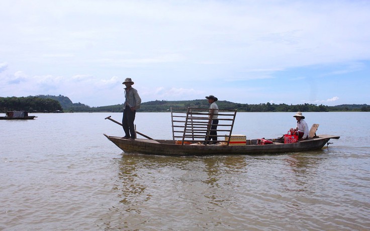 'Hung ngư' cá Hoàng đế hồ Trị An dần vắng bóng