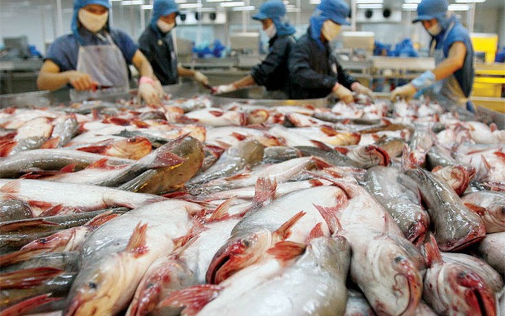 Hàn Quốc lùi thời gian kiểm dịch thủy sản