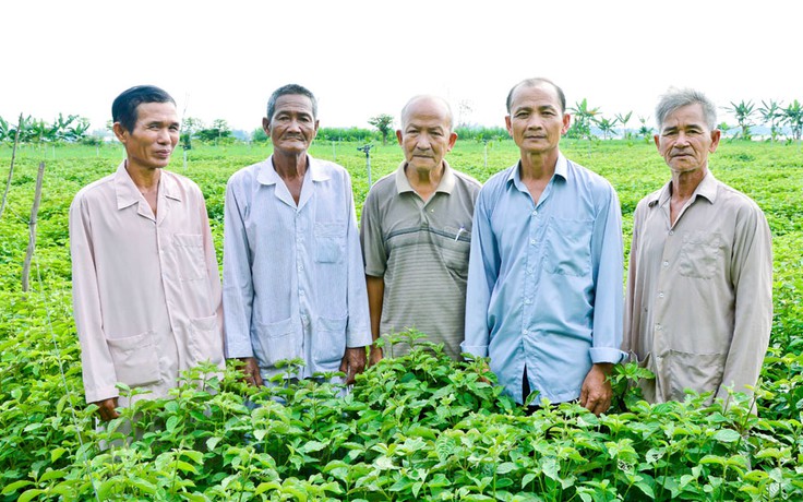 Tổ từ thiện cồn Long Khánh