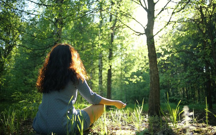 'Tắm rừng' mang lại lợi ích sức khỏe gì?
