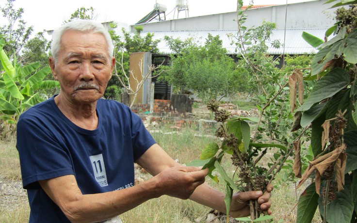 Chuyện tử tế: Lão nông 60 năm tìm thuốc cứu người