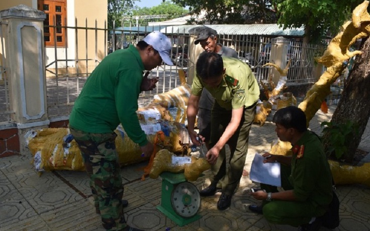 [Tin tức 24h] Xe bưu chính chở gỗ lậu trên cao tốc Đà Nẵng - Quảng Ngãi