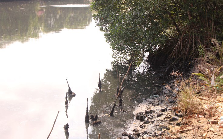 Sông, suối 'đen ngòm' ở Phú Quốc: Đề xuất đẩy nước ô nhiễm... ra biển