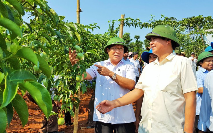 Chanh leo Quảng Trị đi Pháp