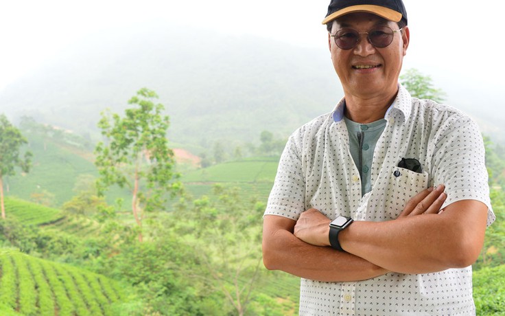 Trà shan tuyết cổ thụ là đặc sản hữu cơ độc đáo của Việt Nam