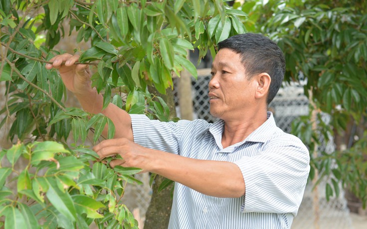 Những người 'đầy tớ' của dân: Vì sự bình yên nơi xứ đạo