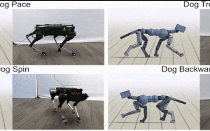 Google đào tạo robot chó bằng cách cho xem video chó thật