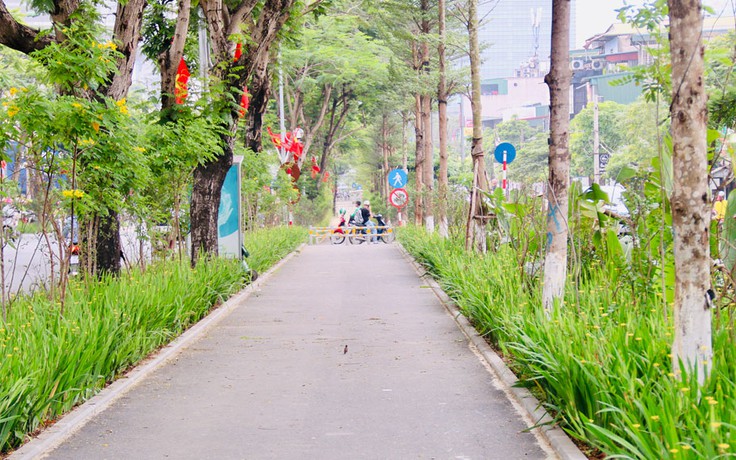 Mương ngập rác 'biến' thành đường đi bộ phủ cây xanh rợp mát giữa nắng hè