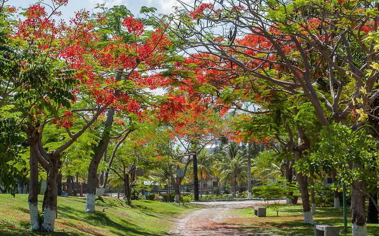 Thung lũng đầy gió