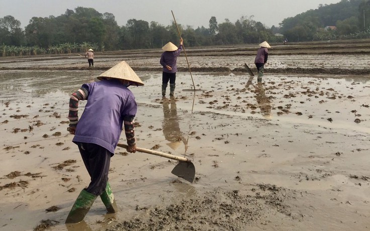 Ấm lòng tổ phụ nữ giúp nhau vượt khó mùa dịch Covid-19