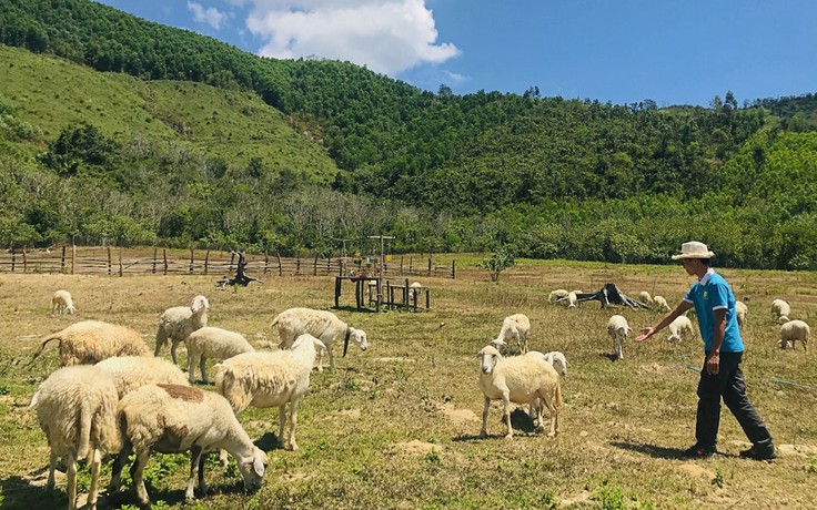 4 chàng 9X và nông trại 56 ha