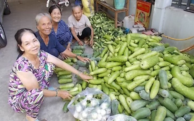 Tấm lòng nhân của đôi vợ chồng già