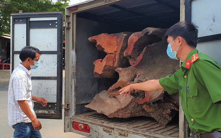 Lâm Đồng: Phát hiện xe tải đông lạnh chở 1.380 kg gỗ lậu quý hiếm