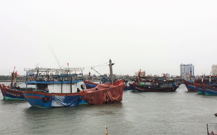 Tàu cá bị tàu hàng đâm chìm, 2 ngư dân Quảng Bình mất tích
