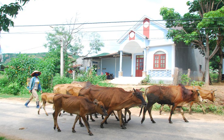 Gương sáng biên cương: Thay 'áo mới' cho làng vùng biên