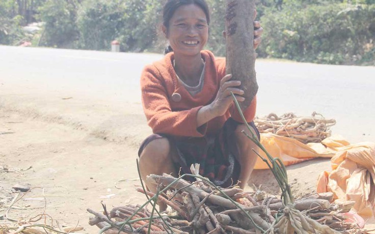 Săn 'lộc trời': Rừng sâu cho bát cơm đầy