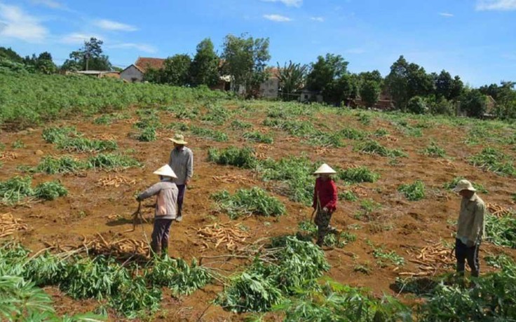 Góc nhìn phóng viên: Nhìn từ chuyện nhà máy xin... giải cứu