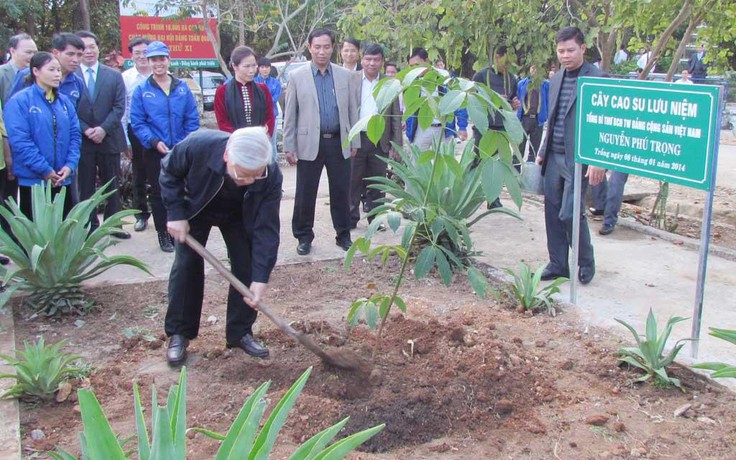 'Vàng trắng' đã chảy trên đất Sơn La