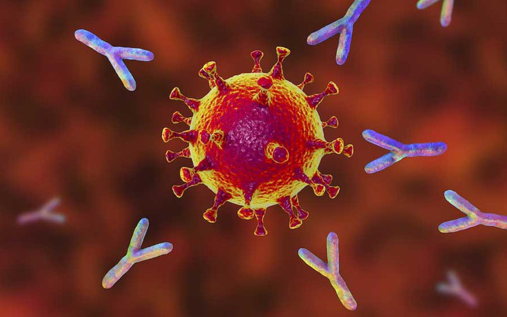 Nhiễm Covid-19 trước hay sau tiêm chủng đều tạo 'siêu miễn dịch' cực mạnh