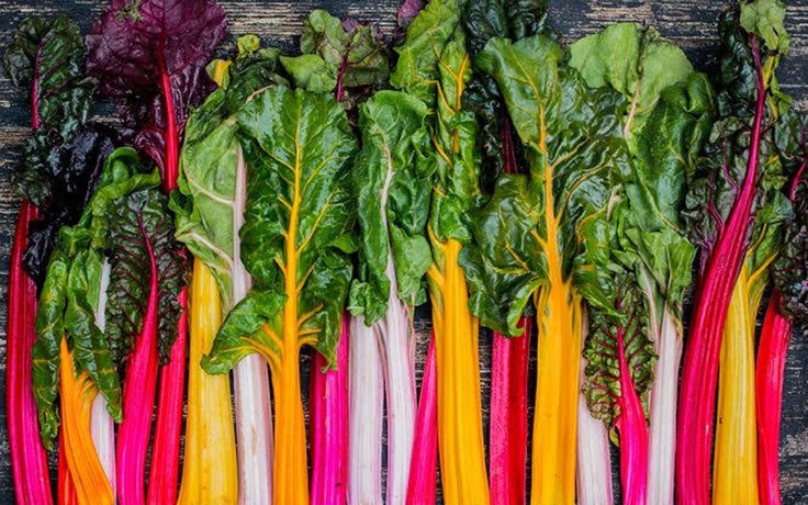 5 loại rau tốt nhất dành cho những người trên 50 tuổi