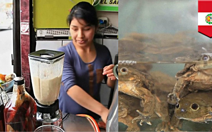 Sinh tố ếch giúp tăng cường 'chuyện ấy' ở Peru