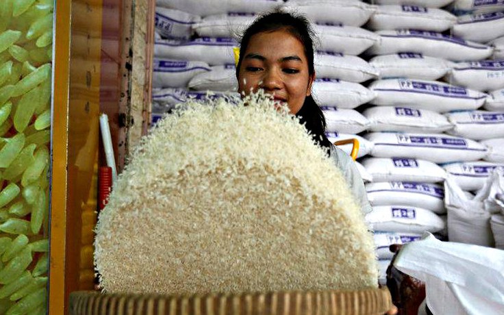 Campuchia thúc đẩy thương hiệu gạo mới ra thế giới