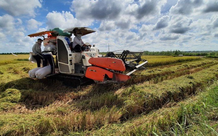 Chi phí sản xuất nông nghiệp tăng, lợi nhuận giảm