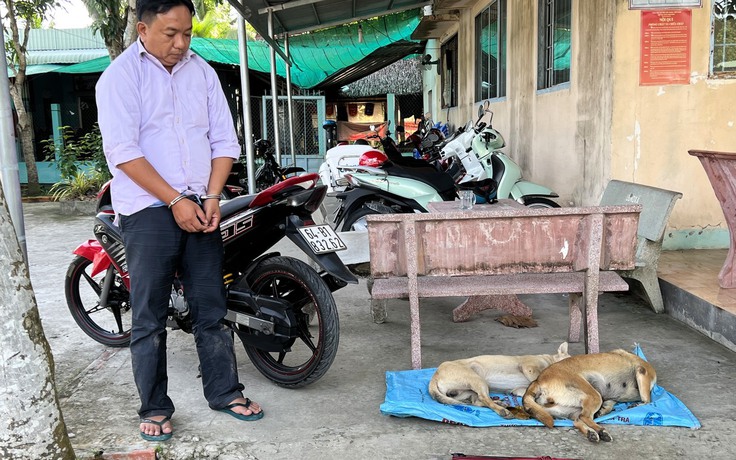 Vĩnh Long: Trộm chó ném bột ớt vào lực lượng công an hòng tẩu thoát