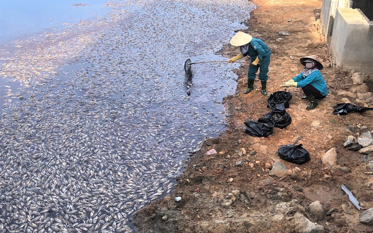 Quảng Bình: Cá chết dày đặc ở hồ Trạm, người dân 'kêu cứu'