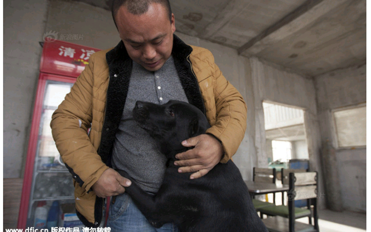 Triệu phú Trung Quốc đổ nợ vì nuôi hàng nghìn con chó