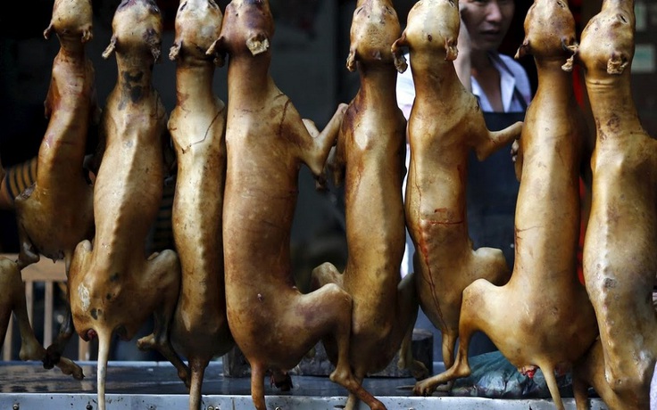 Ngoài Việt Nam, còn những nước nào trên thế giới ăn thịt chó?