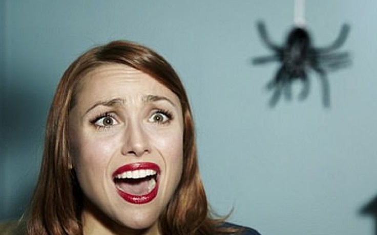 Phát hiện mới: Cách khắc phục nỗi sợ nhện và nhiều thứ khác