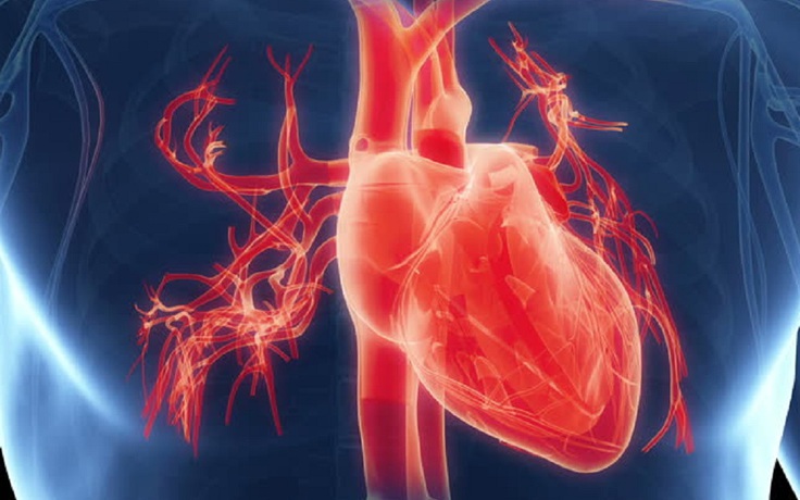 Nghiên cứu đột phá giúp tái tạo thành công mô tim bị phá hủy
