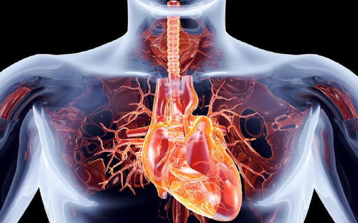 Làm sao để biết tim đang phình lớn ở người mắc bệnh tim?