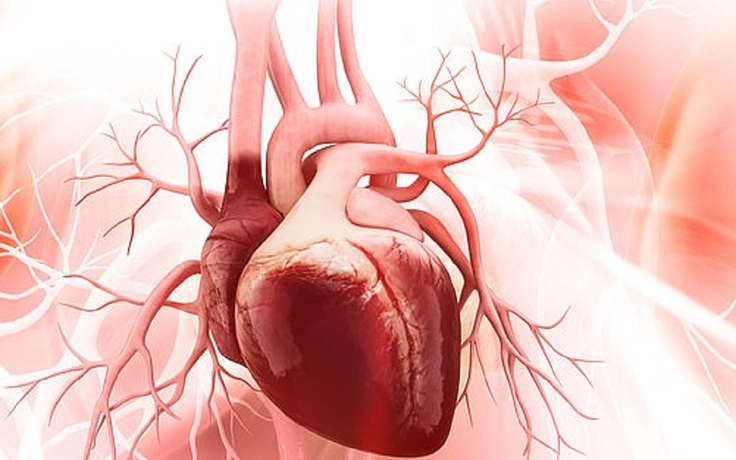 Trực thăng chở tim hiến bị lật, người ôm hộp đựng tim bị té văng hộp trên sàn