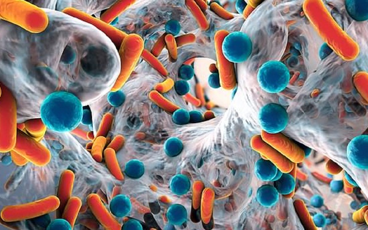 Phát hiện loại vi khuẩn có gien kháng kháng sinh