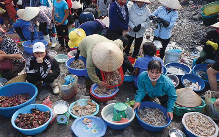 Đông vui như chợ cá Hạ Long