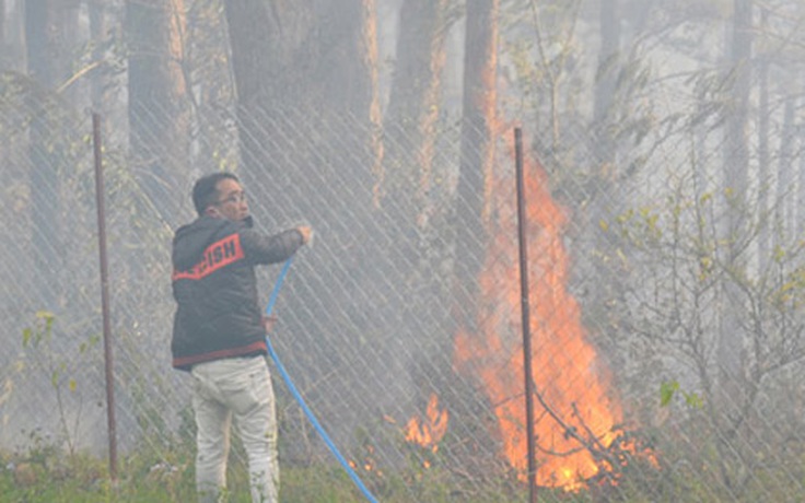 Cháy rừng đe dọa Bảo tàng sinh học Tây nguyên