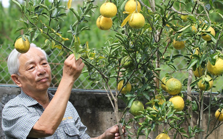 Nguồn lực kiều bào - Kỳ 5: Cuộc trao đổi... giống