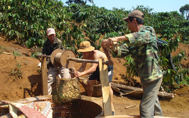 Khô hạn đe dọa vùng cà phê