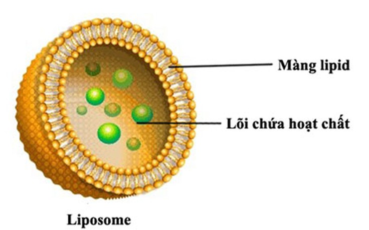 Khám phá những lợi ích 'thần kỳ' của mỹ phẩm sinh học thế hệ mới