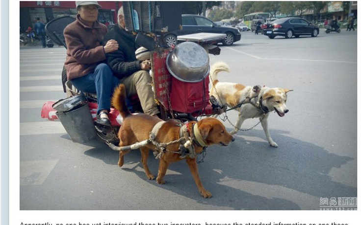 Ngộ nghĩnh chó kéo xe ở Trung Quốc