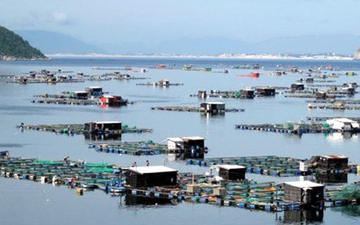 Cán bộ thủy sản 'ghép' hồ sơ, chứng nhận khống hơn 800 sản phẩm
