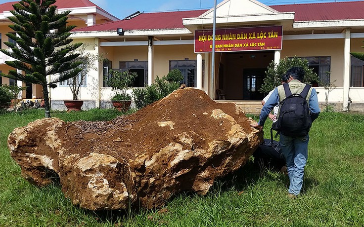 ‘Bắt giữ’ tảng đá ở vườn cà phê