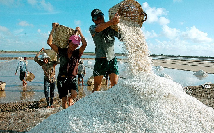 Mua tạm trữ hơn 5.000 tấn muối giúp diêm dân có thu nhập