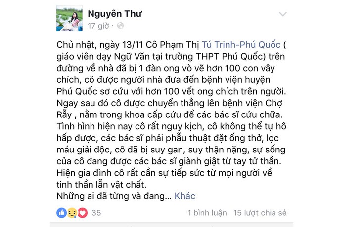 Cô giáo dạy văn bị ong vò vẽ đốt 70 mũi nguy kịch