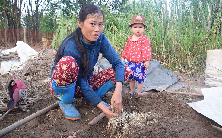 Nghề trồng giá đỗ truyền thống