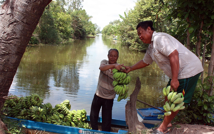 Vùng căn cứ U Minh Thượng chuyển mình